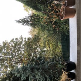 KİRALIK İPEKÇİLİK 2+1 KOMBİLİ  BALKON DERE MANZARALI ÇİFT CEPHE (YŞM 3)