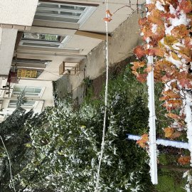 KİRALIK 2+1 TEMİZ BAKIMLI AYDINLIK BAHÇE KATI  DOĞALGAZ MEVCUT BOYALI (LMN)